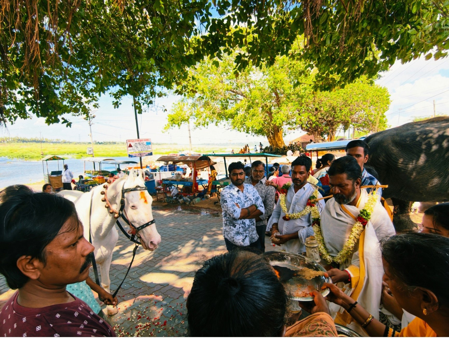 Ashwa Pooja